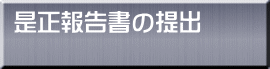 是正報告書の提出