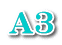 A3